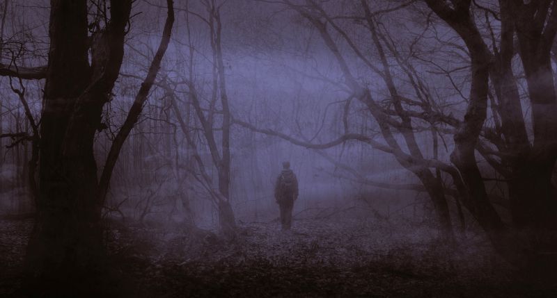 Person walking alone through creepy fog in the woods