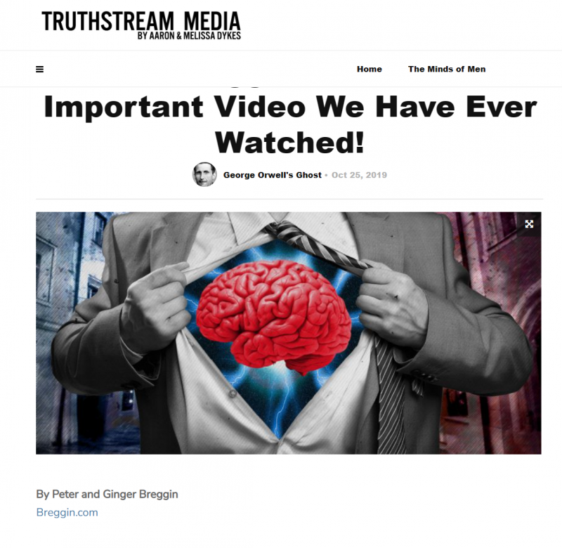 Screenshot of article on Truthstream Media