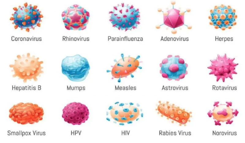 Image of different viruses
